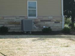 Allow Williams Heating-Cooling, Inc. to repair your heat pump in Dewitt MI